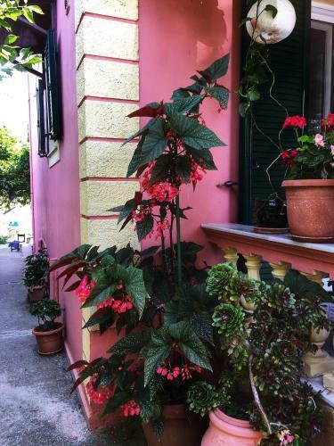 Corfiot Villa Maisonette