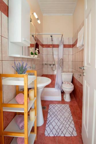 Apartamento Xenia House