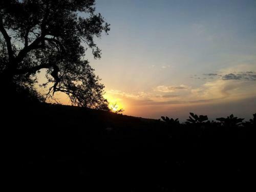 Cosy Studio With Breathtaking View