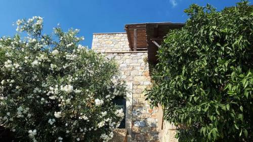 Apartamento Ktima Manolou - Studio With Great View 1