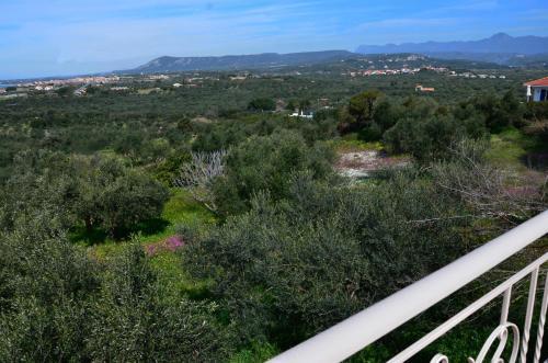 Villa Aliki