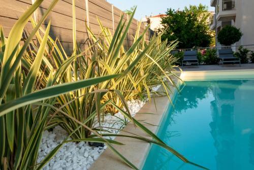 Apartamento Olive 301