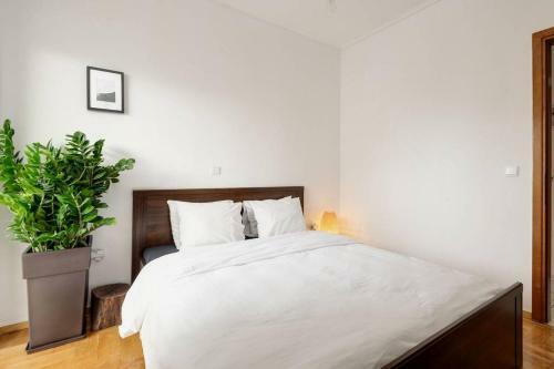 Apartamento 3br Suite 300mts From The Beach