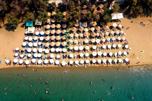 Apartamento 3br Suite 300mts From The Beach