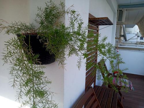 Mediterranean Stars 2 Apartment