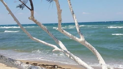 Apartamento Peraia White Suites