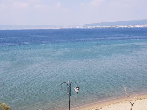 Apartamento Perea Silvi Suite