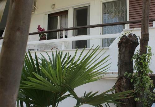 Apartamento Traditional House