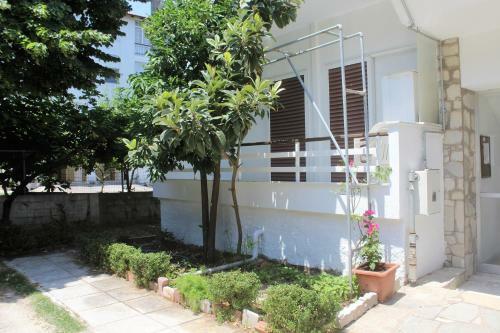Apartamento Traditional House