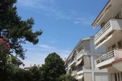 Apartamento Traditional House