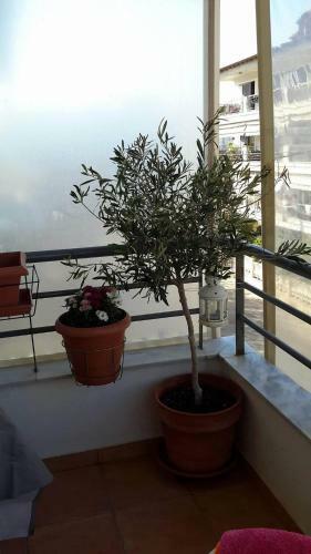 Apartamento Cosy Home