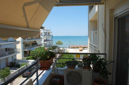 Apartamento Cosy Home