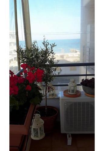 Apartamento Cosy Home