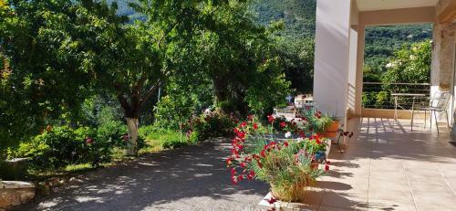 Apartamento Gallery Suites Parga