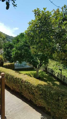Apartamento Olivista