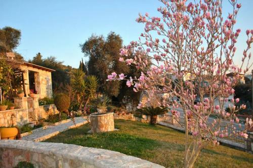 Apartamento Amaryllis House