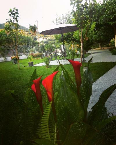 Apartamento Aurora Studios