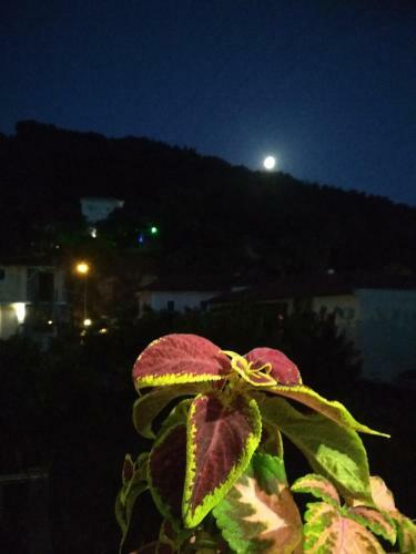 Apartamento Perivoli Tessas'