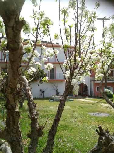 Apartamento Perivoli Tessas'