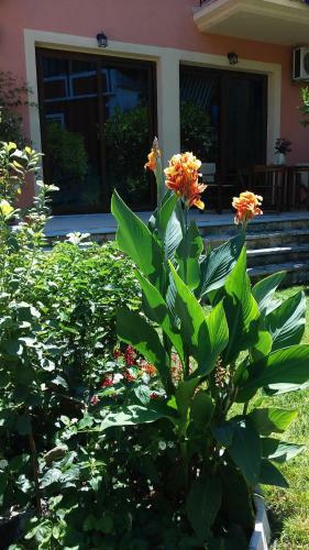 Hostal Epavli Veneti