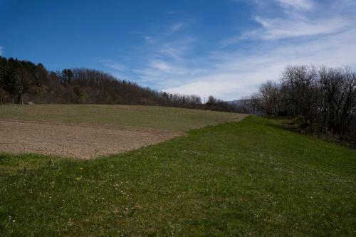 Agroturismo Agriturismo "il Boschetto" Con Piscina, Pace E Natura