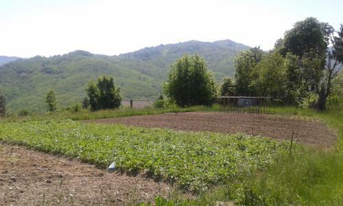 Agroturismo Agriturismo "il Boschetto" Con Piscina, Pace E Natura