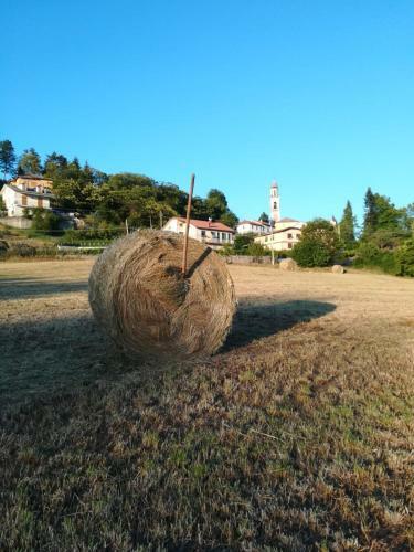 Agroturismo Agriturismo "il Boschetto" Con Piscina, Pace E Natura
