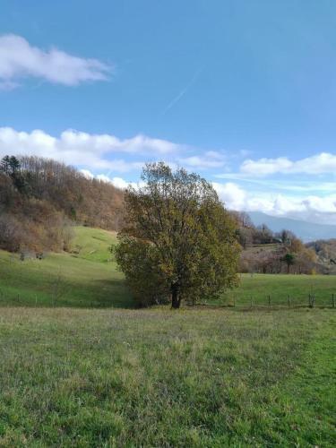 Agroturismo Agriturismo "il Boschetto" Con Piscina, Pace E Natura