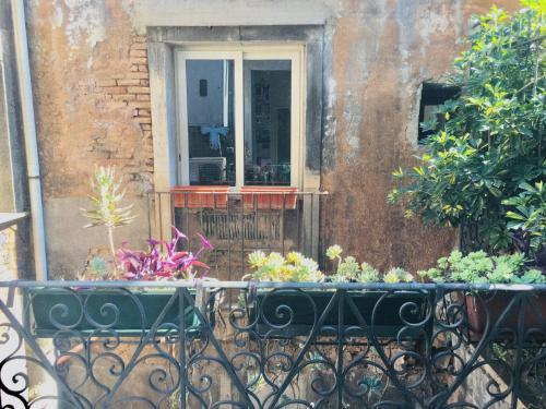 Apartamento Civita3