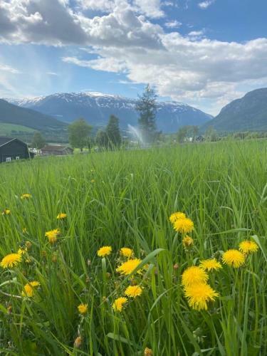 Stort Og Autentisk Hus I Skj�k - Kort Vei Til Lom!