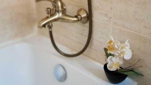 Hostal Pensiunea Ania