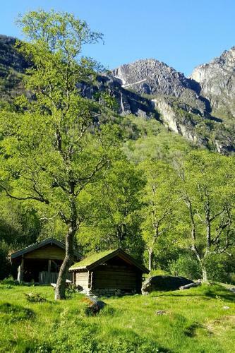 Holiday Home, Oldedalen