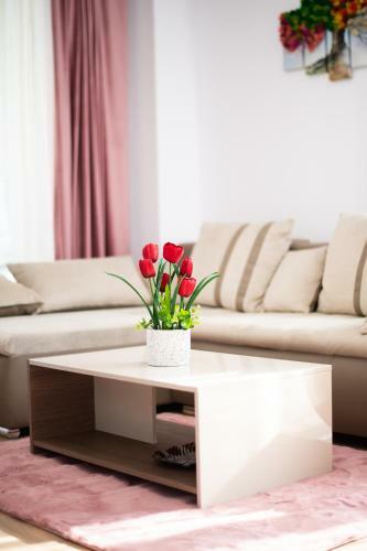 Claseb Apartment