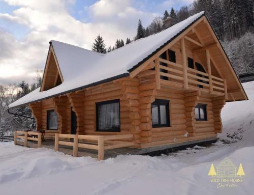 Apartamento Wild Tree House