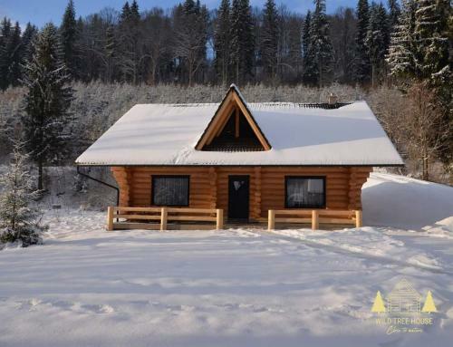 Apartamento Wild Tree House