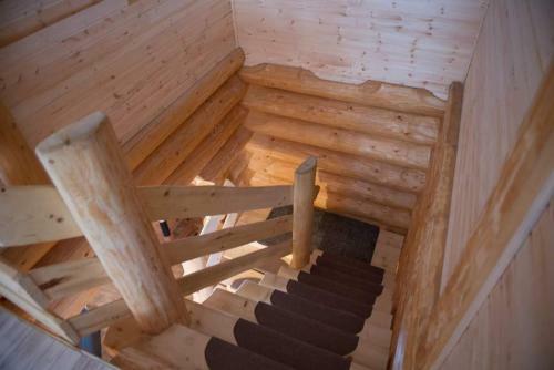 Apartamento Wild Tree House