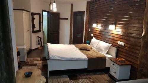Hotel Complexul Sura Brazilor