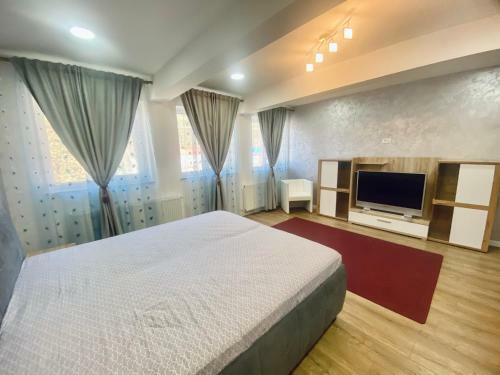 Apartament Vatra Dornei