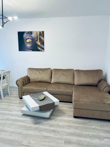 Silver Apartment Zarnesti