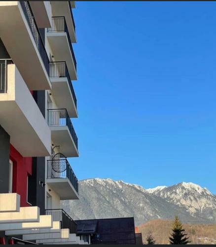 Gold Apartment Zarnesti