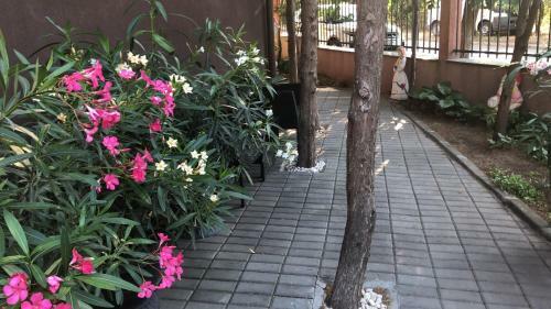 Casa La Familia