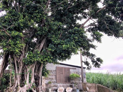 Villa Gazamani Aug,2019 Open!! For Only One Group A Day