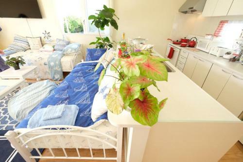 Apartamento Blue Ocean Misaki A