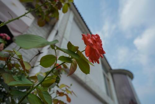 Tiezhu Party Holiday House