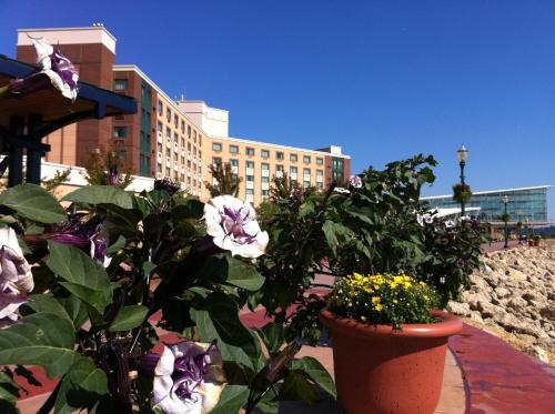 Hotel Grand Harbor Resort