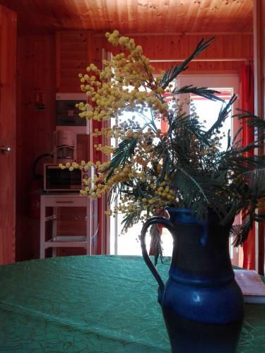 Hostal Les Casots De Traoucali�res