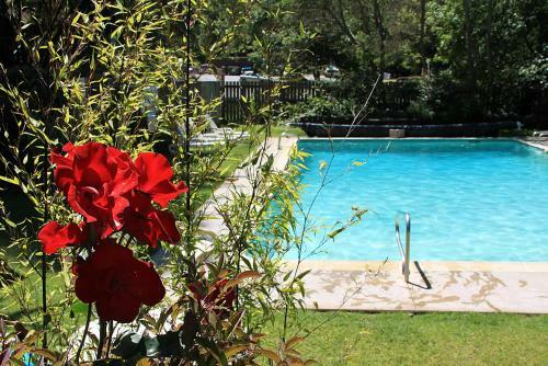 Posada Big Sur River Inn