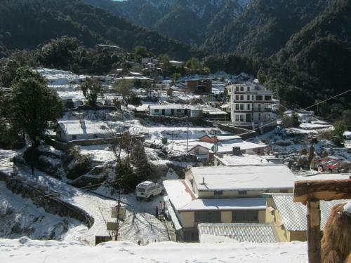 Lodge Jfr Pangot Nainital