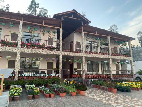 Apartamento Highland Peak Homestay