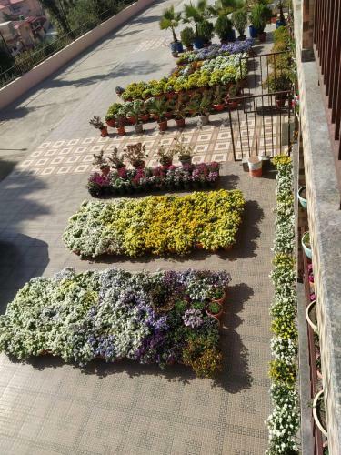 Apartamento Highland Peak Homestay